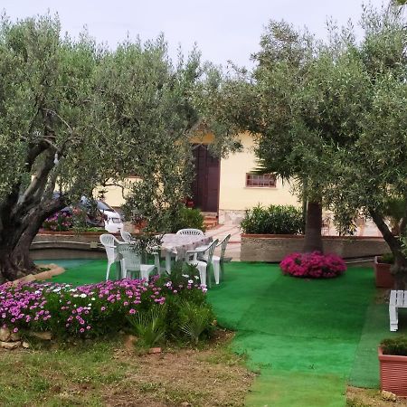 Casanonnavittoria Bed & Breakfast Terrasini Dış mekan fotoğraf