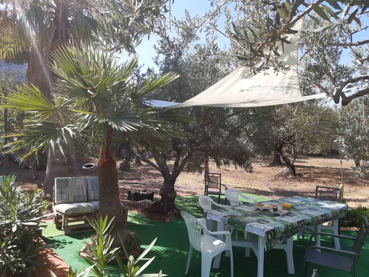 Casanonnavittoria Bed & Breakfast Terrasini Dış mekan fotoğraf